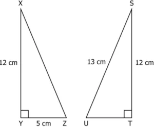 cbe-questions-maths-class-9-ch-7-q-6