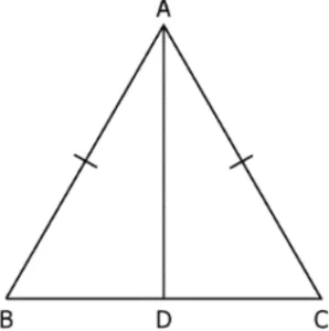 cbe-questions-maths-class-9-ch-7-q-8