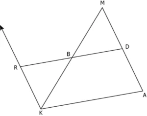 cbe-questions-maths-class-9-ch-8-q-9