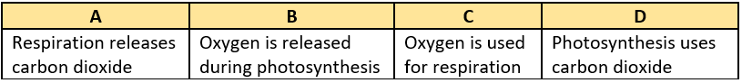 cbe-questions-science-class-6-ch-11-q-12-a