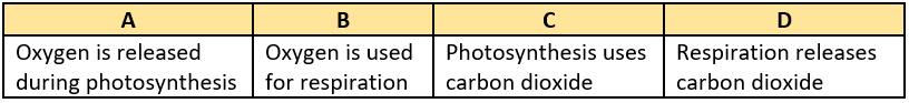 cbe-questions-science-class-6-ch-11-q-12-b