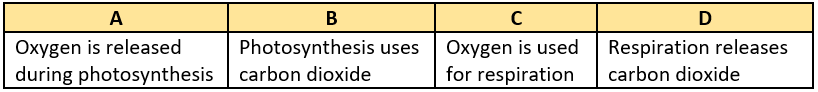 cbe-questions-science-class-6-ch-11-q-12-d