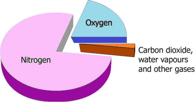 cbe-questions-science-class-6-ch-11-q-5