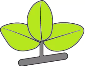 cbe-questions-science-class-6-ch-4-q-12
