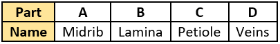 cbe-questions-science-class-6-ch-4-q-13-a
