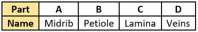 cbe-questions-science-class-6-ch-4-q-13-b