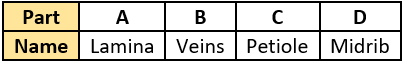 cbe-questions-science-class-6-ch-4-q-13-c