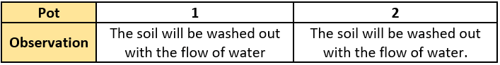 cbe-questions-science-class-6-ch-4-q-21-a