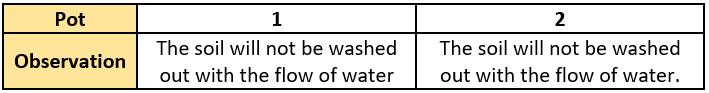 cbe-questions-science-class-6-ch-4-q-21-b