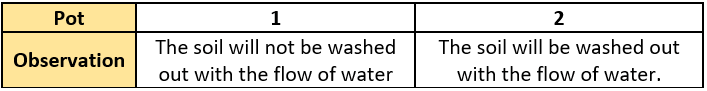 cbe-questions-science-class-6-ch-4-q-21-c