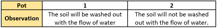 cbe-questions-science-class-6-ch-4-q-21-d