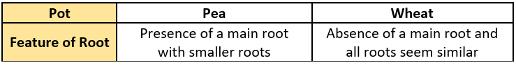 cbe-questions-science-class-6-ch-4-q-23-a