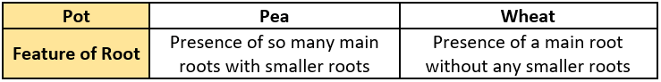 cbe-questions-science-class-6-ch-4-q-23-b