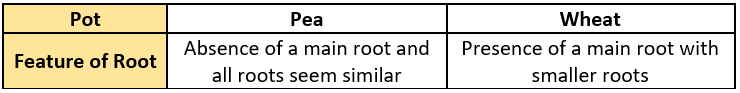 cbe-questions-science-class-6-ch-4-q-23-c