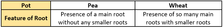 cbe-questions-science-class-6-ch-4-q-23-d