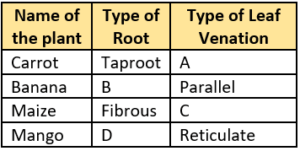 cbe-questions-science-class-6-ch-4-q-25