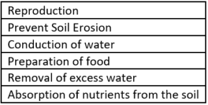 cbe-questions-science-class-6-ch-4-q-5