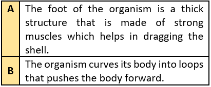 cbe-questions-science-class-6-ch-5-q-10