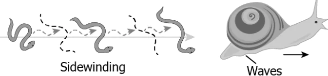 cbe-questions-science-class-6-ch-5-q-11