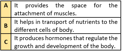 cbe-questions-science-class-6-ch-5-q-6