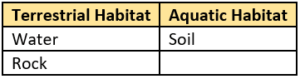 cbe-questions-science-class-6-ch-6-q-3-a
