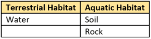cbe-questions-science-class-6-ch-6-q-3-b