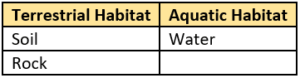 cbe-questions-science-class-6-ch-6-q-3-c