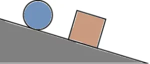 cbe-questions-science-class-6-ch-7-q-20