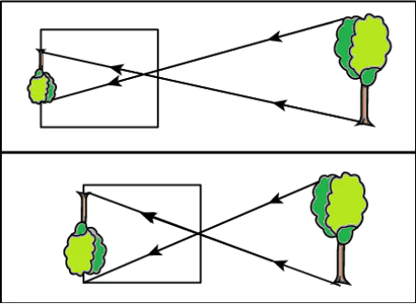 cbe-questions-science-class-6-ch-8-q-10