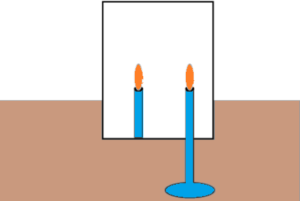 cbe-questions-science-class-6-ch-8-q-11