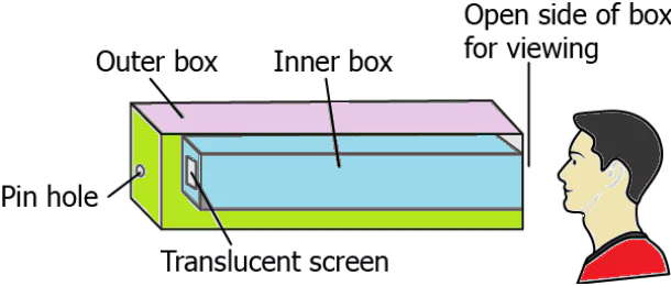 cbe-questions-science-class-6-ch-8-q-7