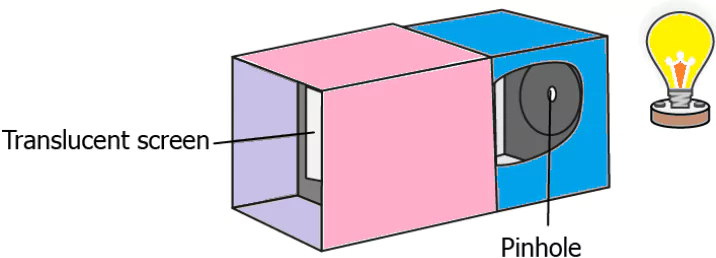 cbe-questions-science-class-6-ch-8-q-9
