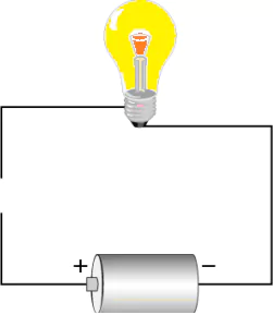 cbe-questions-science-class-6-ch-9-q-12-1