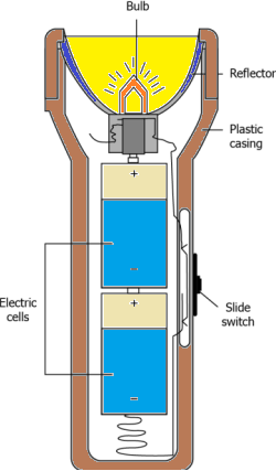 cbe-questions-science-class-6-ch-9-q-2