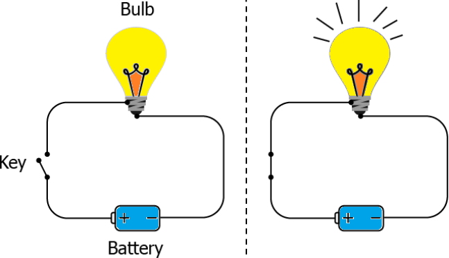 cbe-questions-science-class-6-ch-9-q-4