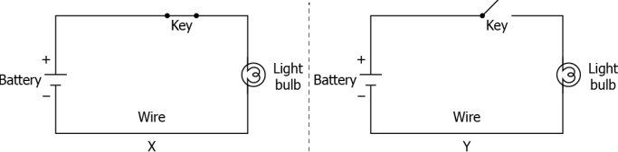 cbe-questions-science-class-6-ch-9-q-5
