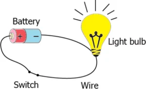 cbe-questions-science-class-6-ch-9-q-6