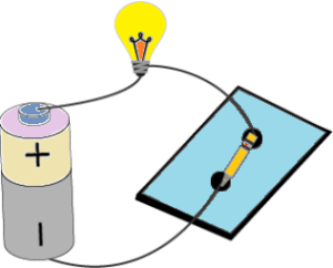cbe-questions-science-class-6-ch-9-q-8-a