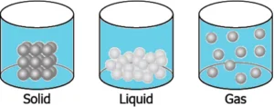 cbe-questions-science-class-9-ch-1-q-10-c