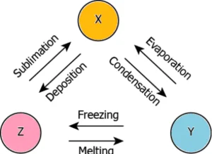 cbe-questions-science-class-9-ch-1-q-24
