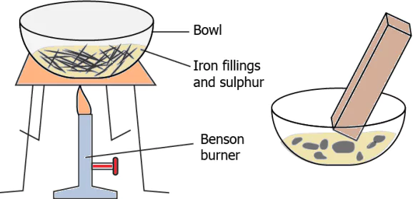 cbe-questions-science-class-9-ch-2-q-2-2