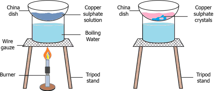 cbe-questions-science-class-9-ch-2-q-26
