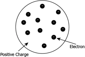cbe-questions-science-class-9-ch-4-q-3-a