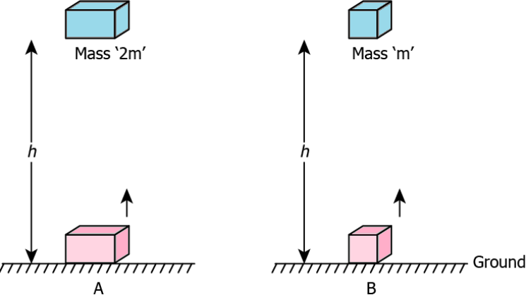 cbe-questions-science-class-9-ch-10-q-12