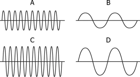 cbe-questions-science-class-9-ch-11-q-6