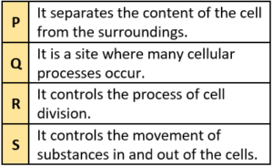 cbe-questions-science-class-9-ch-5-q-10