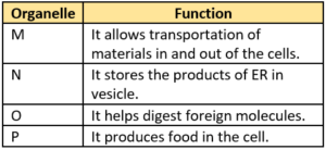 cbe-questions-science-class-9-ch-5-q-8