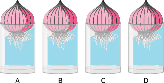 cbe-questions-science-class-9-ch-6-q-2-1