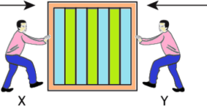 cbe-questions-science-class-9-ch-8-q-6