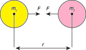 cbe-questions-science-class-9-ch-9-q-10